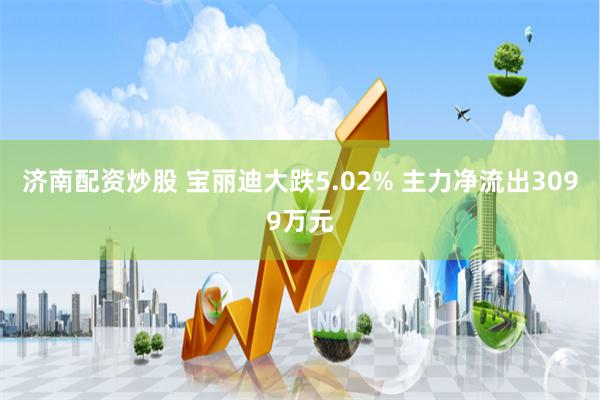 济南配资炒股 宝丽迪大跌5.02% 主力净流出3099万元