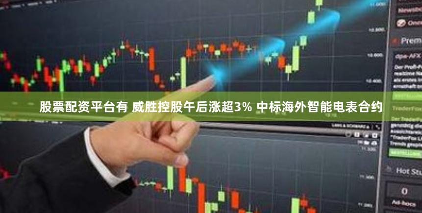 股票配资平台有 威胜控股午后涨超3% 中标海外智能电表合约