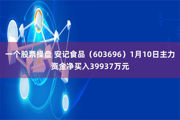 一个股票操盘 安记食品（603696）1月10日主力资金净买入39937万元